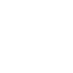 NICFI Logo