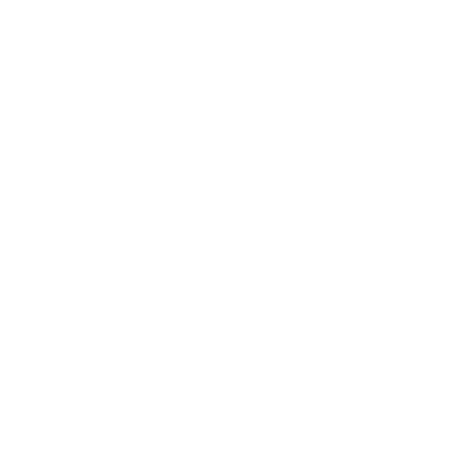 NICFI Logo